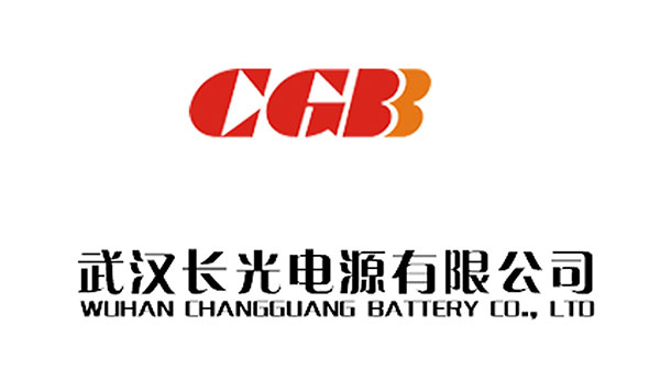 武汉长光电源有限公司