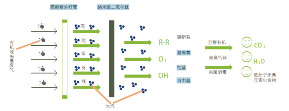 UV光催化氧化净化设备